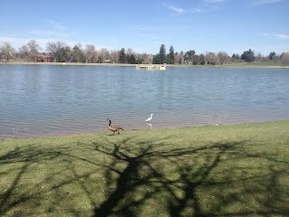 I was inspired start this blog this weekend in Denver Colorado!